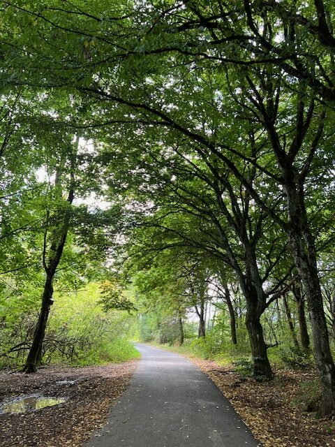 Deinen Weg